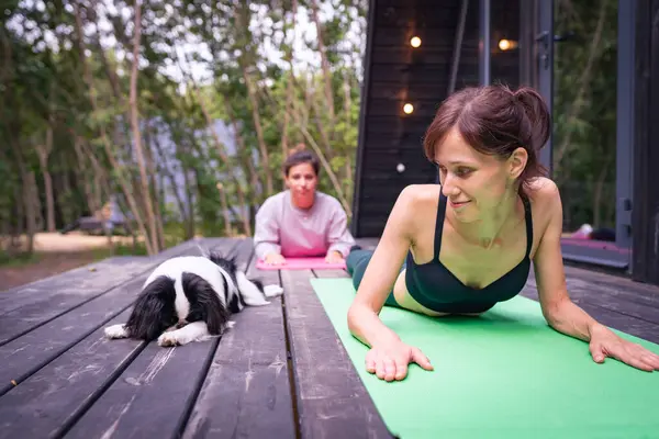 Small dog can try practicing yoga with women on terrace outdoor