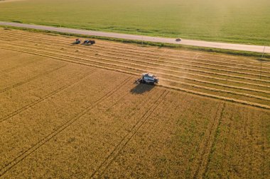 Hasat ekinlerini birleştirin buğday hasadı yaz mevsimi, hava manzarası