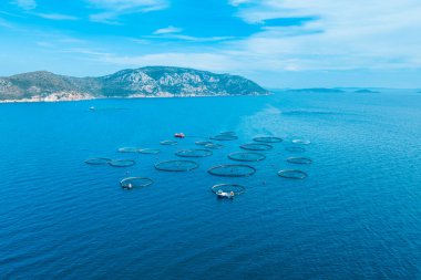 Açık deniz su ürünleri kafesleri balık çiftliği, deniz ürünleri endüstrisi. hava görünümü