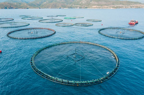 オープン海の養殖魚場 空中クローズアップショット ストック画像