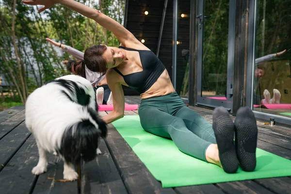 Women practicing yoga with dog on terrace outdoor