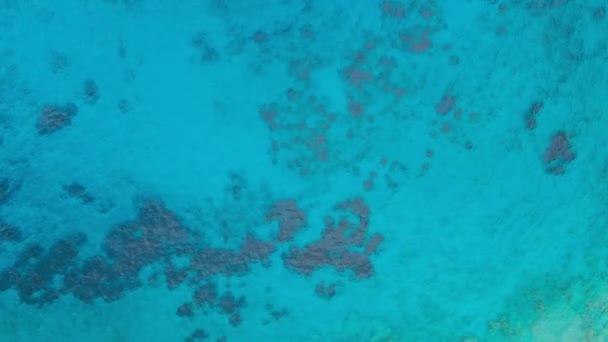 Superficie Cristalina Del Mar Con Agua Turquesa Tiro Aéreo — Vídeos de Stock