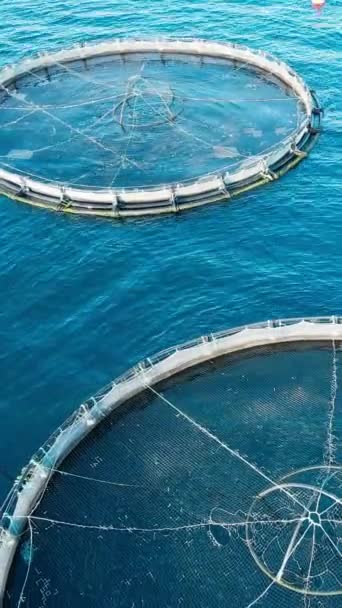 Aquaculture Fish Farm Open Sea Aerial Close Vertical Social Media — Stock Video