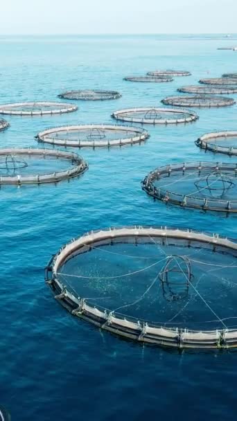 Akvakultura Chová Rybí Farmu Otevřeném Moři Letecká Vertikální Sociální Média — Stock video