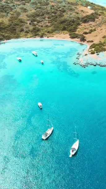 Akvaryum Koyu Bodrum Luxury Yachts Clear Crystal Water Lagoon Aerial — Stock Video