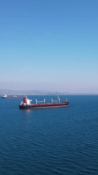 Aerial Vertical Shot Bulk Carrier Ships Stay Anchor Industrial Port — Stock Video