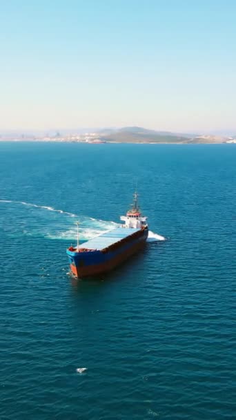 Volně Ložená Loď Manévruje Kotvišti Moři Vzdušný Vertikální Výstřel — Stock video