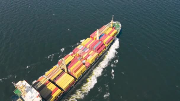 コンテナ貨物船Msc 海で巡航する貨物容器 空中ビュー — ストック動画