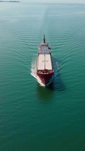 Bulkfartyg Speciellt Konstruerat För Att Transportera Oförpackad Bulklast Vertikalskott Från — Stockvideo