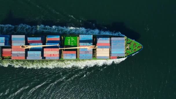 Aerial Drone Top View Full Loaded Container Ship Cruising Open — Stock Video