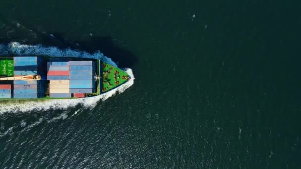 Aerial Top View Cargo Ship Carrying Containers Export Goods Cargo — Wideo stockowe