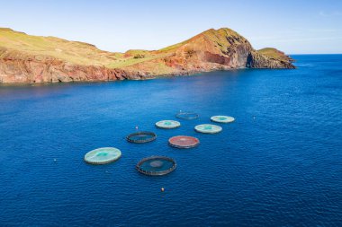 Atlantik Okyanusu 'ndaki Madeira açık deniz balık çiftliği. Havadan