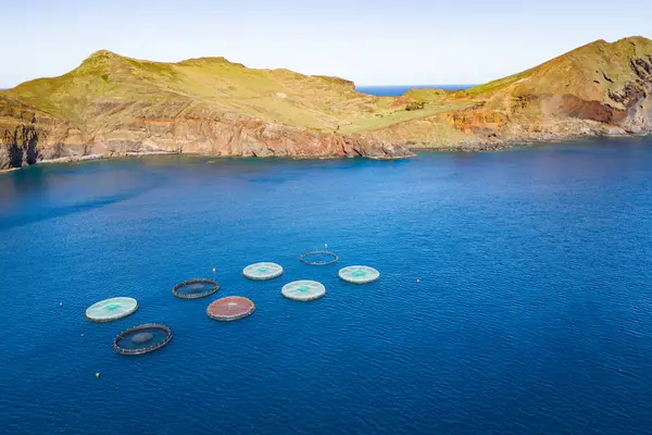 stock image Offshore aquaculture cages for growing fish in Atlantic ocean on Madeira island, Aerial view of fish farm