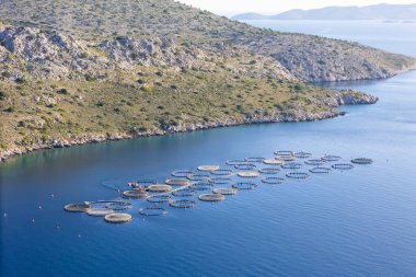 Offshore aquaculture farming, fish growing cages in calm sea water, Aerial view clipart