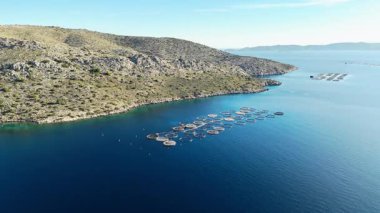Akvaryum balığı yetiştiriciliği Yunanistan 'ın deniz kıyısının hemen yanında. Endüstri sürdürülebilir bir hayvan proteini üretir