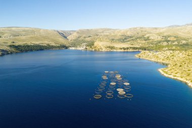 Akvaryum balığı yetiştiriciliği Yunanistan 'ın deniz kıyısının hemen yanında. Endüstri sürdürülebilir bir hayvan proteini üretir