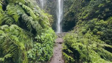 Madeira adasında şelale. Madeira 'nın dağlık kesiminde temiz su. POV görünümü ve el kamerası görüntüsü