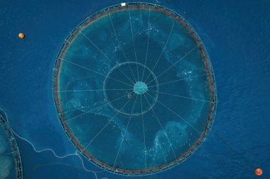 Suda balık besleyen balıklar kafeste yüzen balıklarla denizde çiftçilik yapıyorlar. Havadan yukarıdan aşağıya görünüm