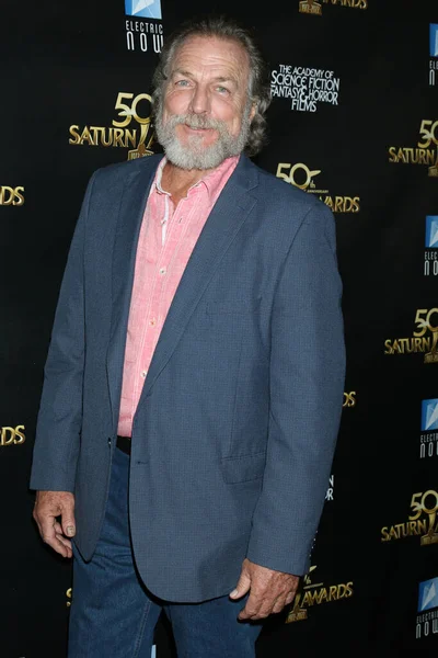 Los Angeles Oct Darby Hinton 50Th Saturn Awards Arrivals Marriott — Stock Photo, Image
