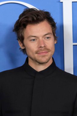LOS ANGELES - 1 Kasım 2022 'de Westwood, CA' da My Policeman Los Angeles Premiere 'de Harry Styles