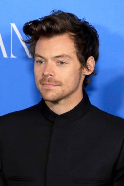 LOS ANGELES - NOV 1:  Harry Styles at the My Policeman Los Angeles Premiere at Bruin Theater on November 1, 2022 in Westwood, CA