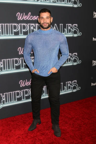 Los Angeles Nov Johnny Sibilly Welcome Chippendales Premiere Pacific Design — Stock fotografie