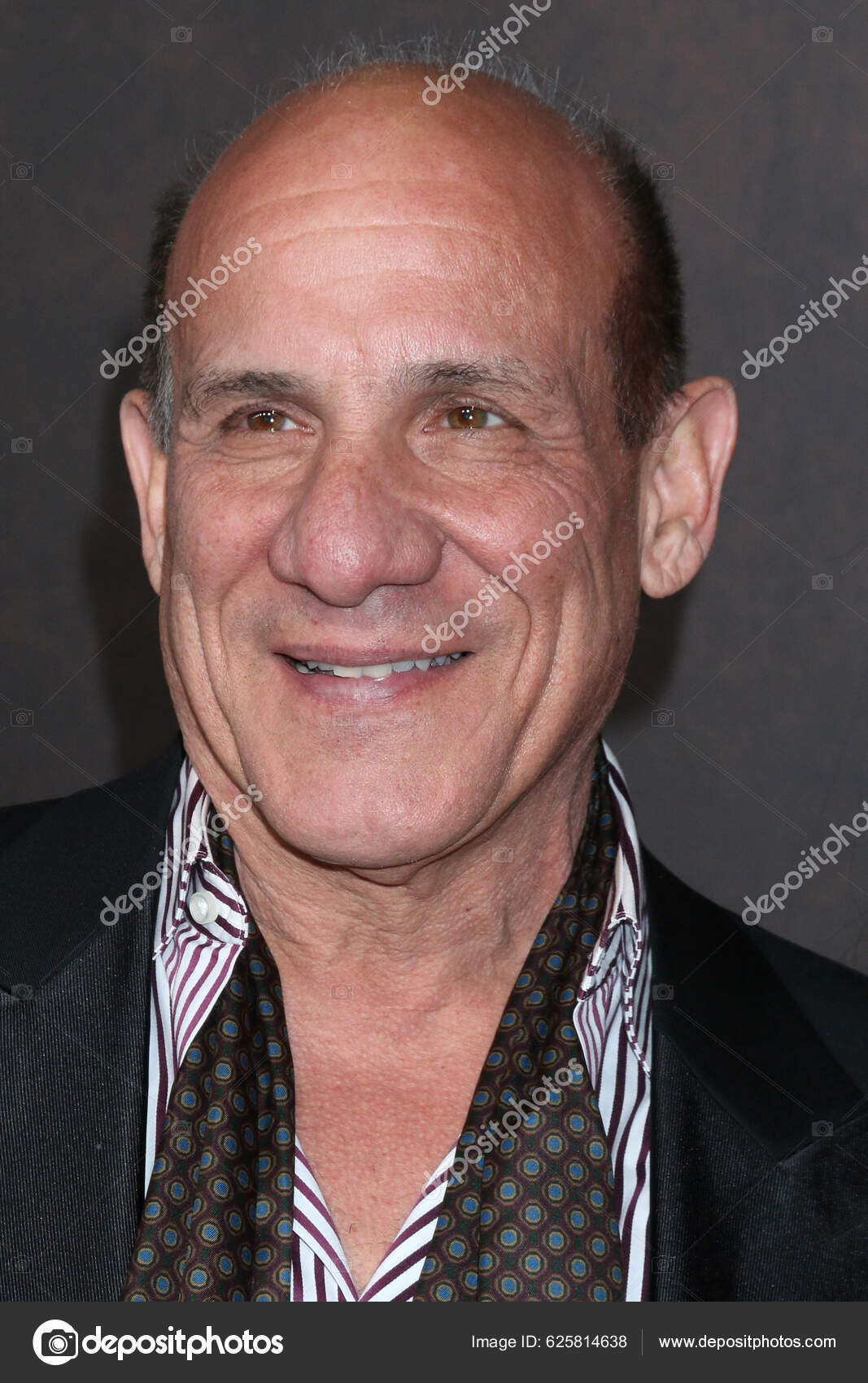 Los Angeles Nov Paul Ben Victor Emancipation Premiere Village Theater