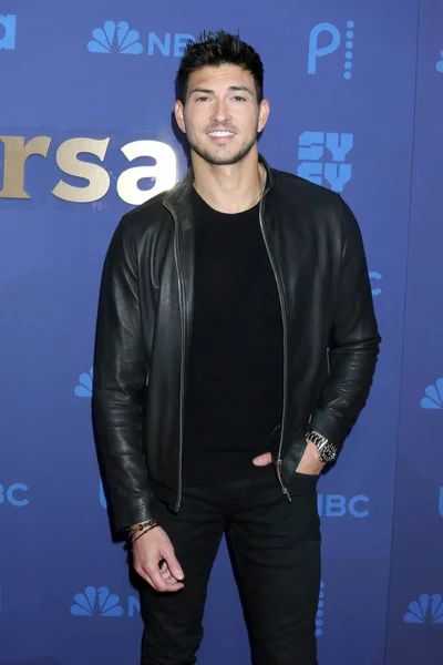 stock image LOS ANGELES - JAN 15:  Robert Scott Wilson at NBCUniversal Press Tour Red Carpet at the Langham Pasadena Hotel  on January 15, 2023 in Pasadena, CA