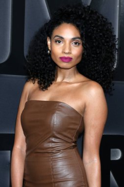 LOS ANGELES - JAN 5:  Gabrielle Ryan at the 