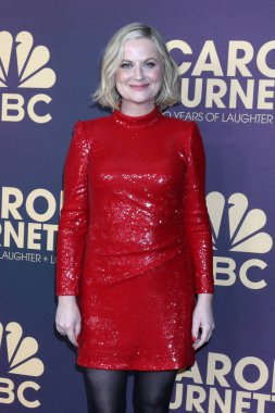 LOS ANGELES - MAR 2:  Amy Poehler at the Carol Burnett  - 90 Years of Laughter and Love Special Taping for NBC at the Avalon Hollywood on March 2, 2023 in Los Angeles, CA