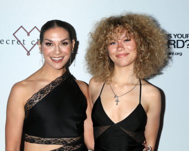 Allison Holker Boss, Weslie Fowler 12 Mayıs 2023 'te Pasifik Tasarım Merkezi' ndeki NAMI WLA 2023 Akıl Sağlığı Galasında.