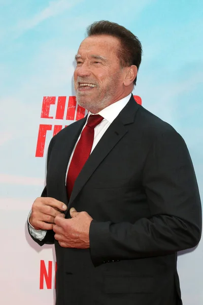 Los Angeles Května Arnold Schwarzenegger Premiéře Seriálu Fubar Grove Května — Stock fotografie