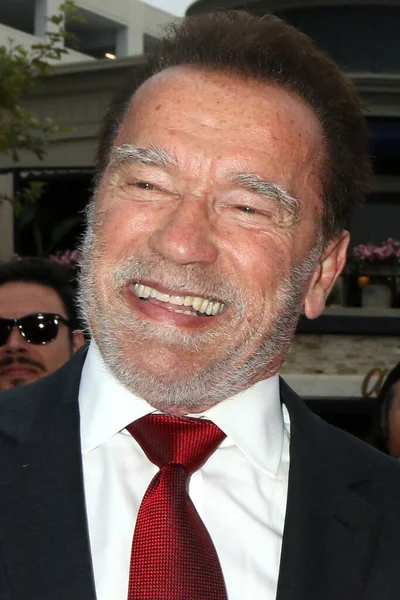 Los Angeles Mai Arnold Schwarzenegger Première Série Télévisée Fubar Grove — Photo