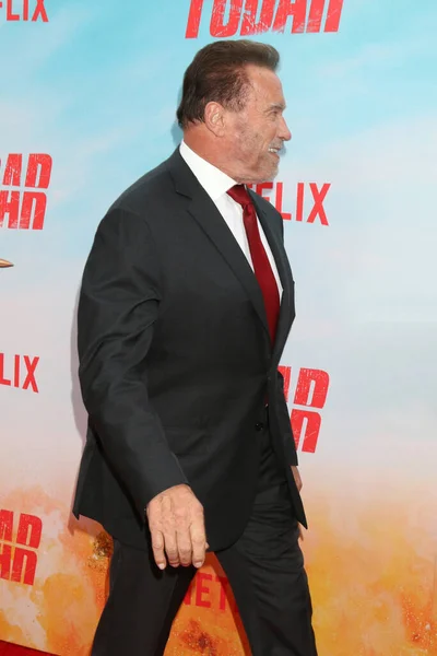 Los Ángeles Mayo Arnold Schwarzenegger Estreno Serie Televisión Fubar Grove —  Fotos de Stock