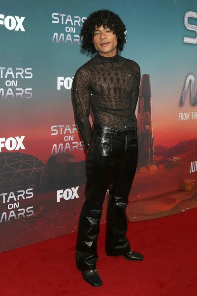 Los Angeles Jun Rami Zien Στο Fox Stars Mars Vip — Φωτογραφία Αρχείου