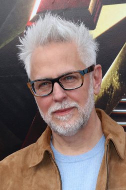 LOS ANGELES - 12 Haziran 2023 'te Ovation Hollywood Avlusundaki Flash Premiere' de James Gunn