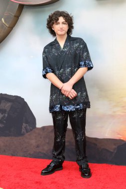 LOS ANGELES - 12 Haziran 2023 'te Los Angeles, CA' da The Flash Premiere 'da Ovation Hollywood Avlusu' nda