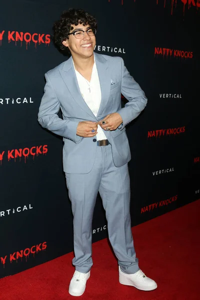 Los Angeles Jun Noen Perez Natty Knocks Los Angeles Premiere — Stock Photo, Image