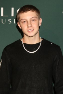 LOS ANGELES - 31 Ocak: Stefan Benz, Los Angeles 'ta 31 Ocak 2024 tarihinde NeueHouse' da düzenlenen 2024 Clio Müzik Ödülleri 'nde