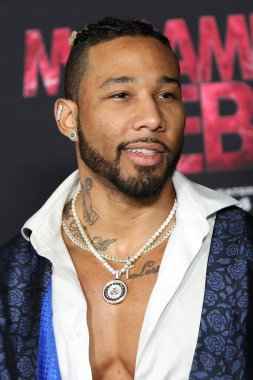 LOS ANGELES - 12 Şubat 2024 'te Westwood, CA' daki Madame Web Galasında Eren Efsanesi