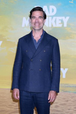 LOS ANGELES, ABD - 12 Ağustos 2024: Rob Delaney, Bad Monkey Apple TV + World Premiere 'de 12 Ağustos 2024' te Westwood, CA