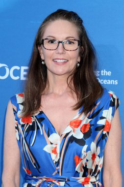 LOS ANGELES, ABD - 17 Ağustos 2024: Diane Lane 17 Ağustos 2024 'te Laguna Beach, CA' da bulunan Özel Konutta düzenlenen Deniz Değişimi Yaz Partisi 'nde