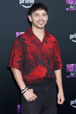 LOS ANGELES, ABD - 30 Ekim 2024: David Archuleta at the Megan Thee Stallion: In His Words premimiere at the TCL Chinese Theater IMAX 30 Ekim 2024, Los Angeles, CA