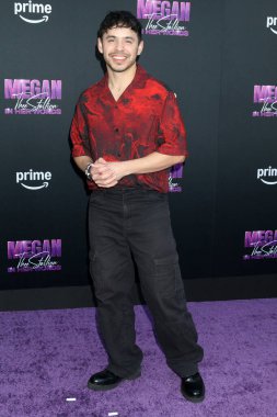 LOS ANGELES, ABD - 30 Ekim 2024: David Archuleta at the Megan Thee Stallion: In His Words premimiere at the TCL Chinese Theater IMAX 30 Ekim 2024, Los Angeles, CA