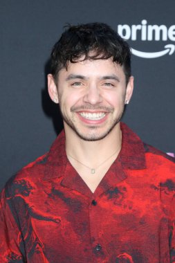 LOS ANGELES, ABD - 30 Ekim 2024: David Archuleta at the Megan Thee Stallion: In His Words premimiere at the TCL Chinese Theater IMAX 30 Ekim 2024, Los Angeles, CA