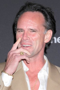 LOS ANGELES, ABD - 15 Kasım 2024 Walton Goggins, Mısır Tiyatrosu 'ndaki Davetsiz Gösterim' de, 15 Kasım 2024 'te,