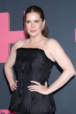LOS ANGELES, ABD - 20 Kasım 2024: Amy Adams Linwood Dunn Tiyatrosu 'ndaki Gece Kaltağı Los Angeles Premiere' de 20 Kasım 2024 'te