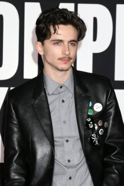 SAN DIEGO, ABD - 10 Aralık 2024: Timothee Chalamet A Complete Unknown Los Angeles Premiere at TCL Chinese Theater IMAX 10 Aralık 2024, Los Angeles, CA