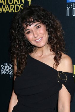 Emmanuelle Chriqui, Universal Hilton Oteli 'ndeki 2025 Saturn Ödülleri Basın Odası' nda 2 Şubat 2025 'te Los Angeles, CA