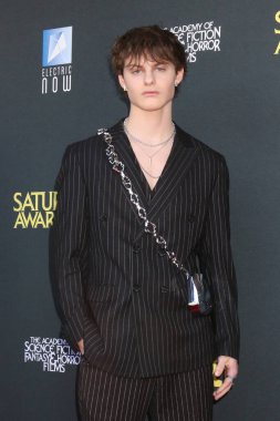 Cameron Crovetti, Saturn Ödülleri 'nde 2 Şubat 2025' te Universal Hilton Oteli 'ne geldi.